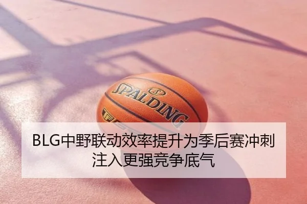 BLG中野联动效率提升为季后赛冲刺注入更强竞争底气