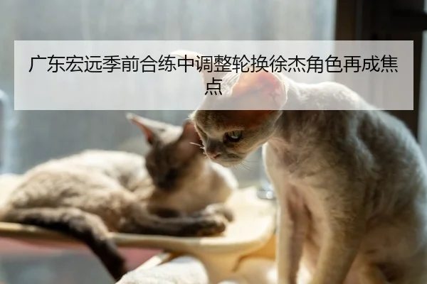 广东宏远季前合练中调整轮换徐杰角色再成焦点