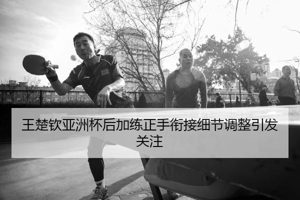 王楚钦亚洲杯后加练正手衔接细节调整引发关注