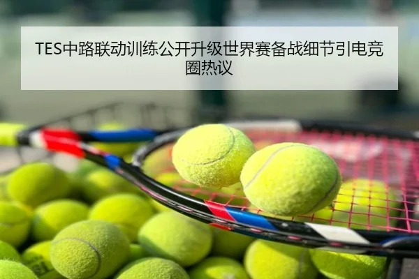 TES中路联动训练公开升级世界赛备战细节引电竞圈热议